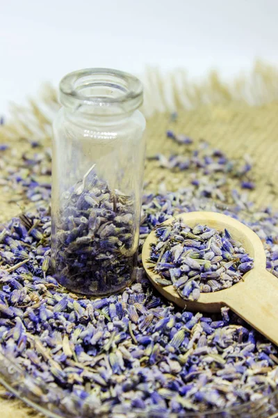 Ätherisches Lavendelöl in einer kleinen Flasche. — Stockfoto