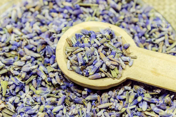 Óleo essencial de lavanda em uma pequena garrafa . — Fotografia de Stock