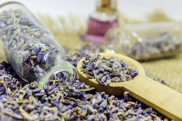 Óleo essencial de lavanda em uma pequena garrafa . — Fotografia de Stock