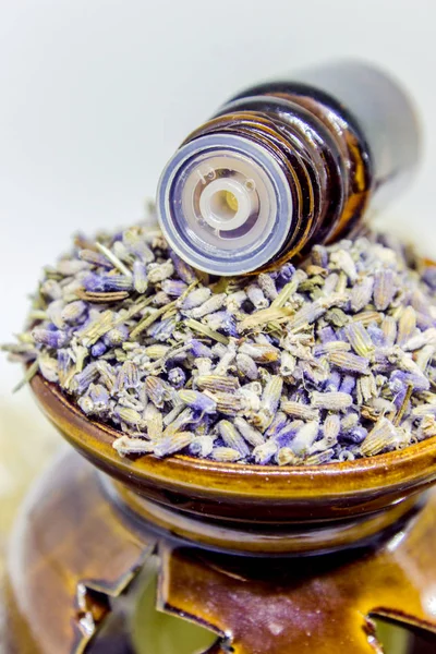 Óleo essencial de lavanda em uma pequena garrafa . — Fotografia de Stock