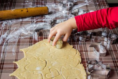 kendi elleriyle zencefil Noel kurabiyeleri.