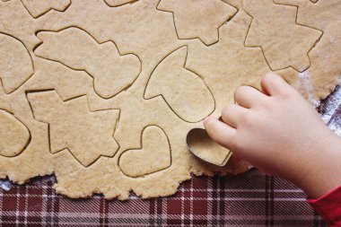 kendi elleriyle zencefil Noel kurabiyeleri.