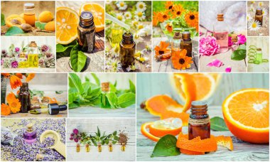 kolaj otlar ve uçucu yağ. 