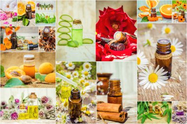 kolaj otlar ve uçucu yağ. 