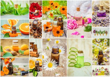 kolaj otlar ve uçucu yağ. 