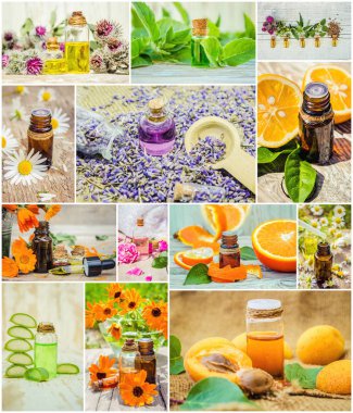 kolaj otlar ve uçucu yağ. 