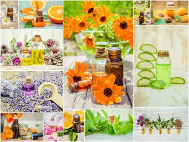 kolaj otlar ve uçucu yağ. 