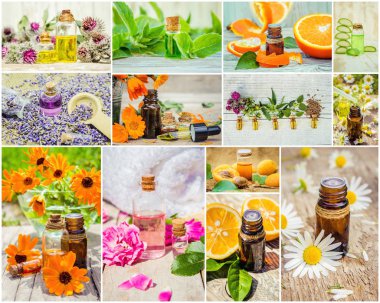 kolaj otlar ve uçucu yağ. 