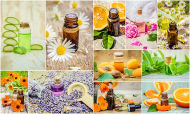 kolaj otlar ve uçucu yağ. 