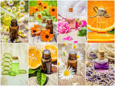 kolaj otlar ve uçucu yağ. 