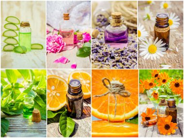 kolaj otlar ve uçucu yağ. 