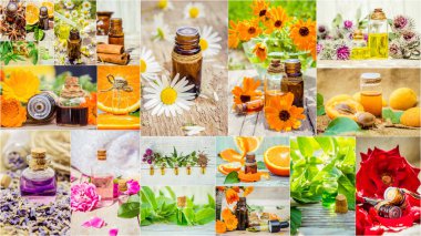 kolaj otlar ve uçucu yağ. 