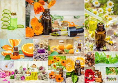 kolaj otlar ve uçucu yağ. 