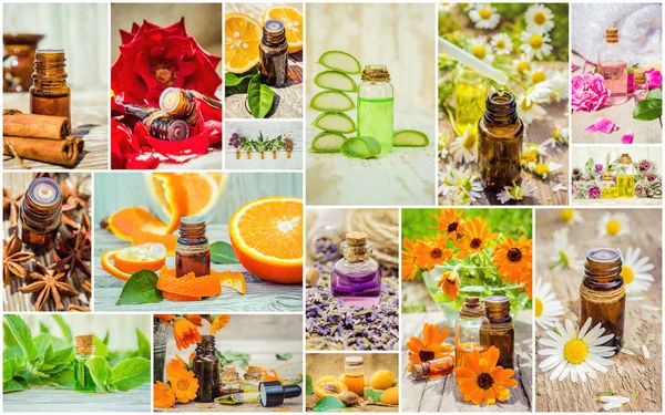 kolaj otlar ve uçucu yağ. 