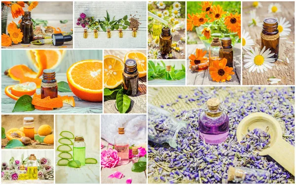 Collage of herbs and essential oil. — Stock Photo, Image