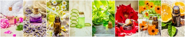 Collage de hierbas y aceite esencial . — Foto de Stock