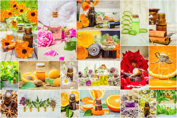 collage of herbs and essential oil. 