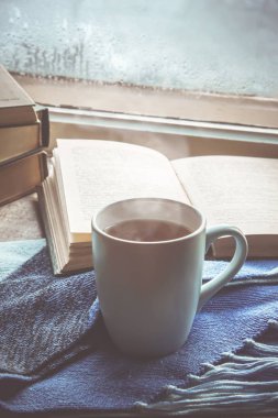 Sıcak nye pencere ve kitap okumak için. Seçici odak.