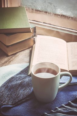 Sıcak nye pencere ve kitap okumak için. Seçici odak.