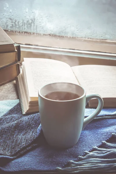 Sıcak nye pencere ve kitap okumak için. Seçici odak.