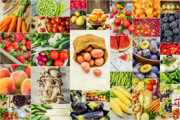 Collage de frutas y verduras en una foto . —  Fotos de Stock