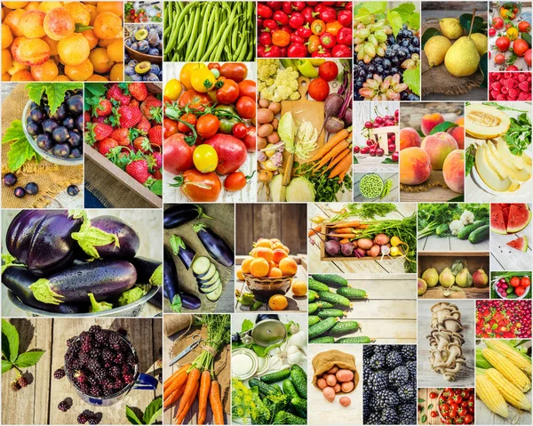 Collage van groenten en fruit in één foto. — Stockfoto