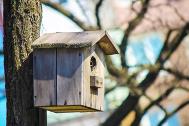 Kuş yuvası kuş ve ağaç üzerinde.