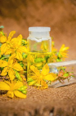 St John's wort tentür küçük bir şişe içinde. 
