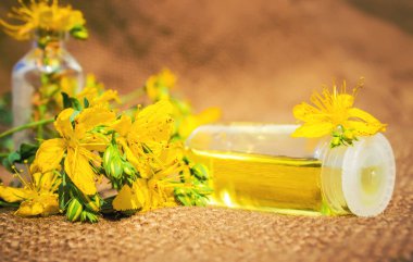 St John's wort tentür küçük bir şişe içinde. 