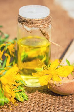 St John's wort tentür küçük bir şişe içinde. 