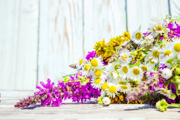 Das Feld der Heilblumen, Kamille. Selektiver Fokus. — Stockfoto