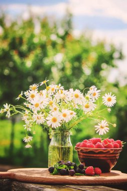 Parlak, yaz natürmort, papatya ve ahududu ve kuş üzümü bir buket. Seçici odak.