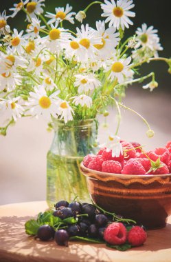 Parlak, yaz natürmort, papatya ve ahududu ve kuş üzümü bir buket. Seçici odak.