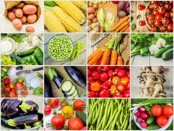 Koláž z různých druhů zeleniny. Vegetariánské jídlo. — Stock fotografie