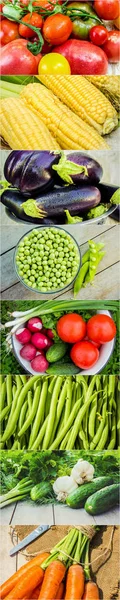 Koláž z různých druhů zeleniny. Vegetariánské jídlo. — Stock fotografie