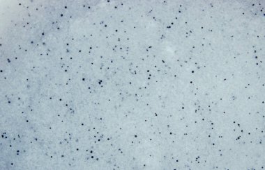 Parçacıklar peeling ile vücut fırçalayın. Seçici odak. Portre.