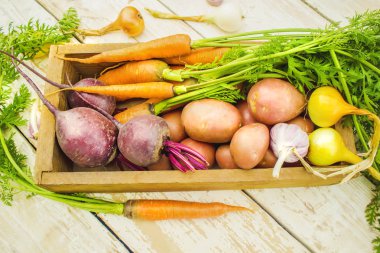 Beyaz ahşap zemin üzerinde farklı homegrown sebze. seçici odak.