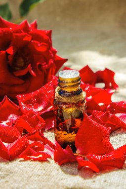 Gül uçucu yağ küçük bir kavanoza. Seçici odak.