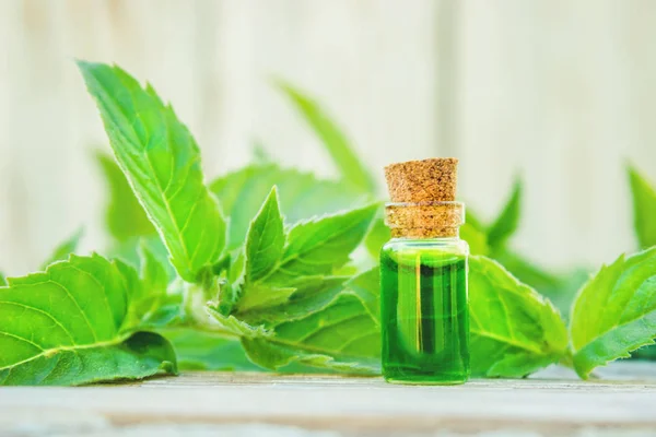Peppermint essential oil in a small jar. Selective focus. — Stock Photo, Image
