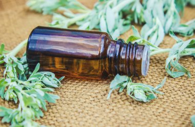 pelin ekstresi küçük bir kavanoza. Seçici odak. 