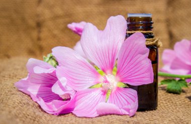 küçük bir kavanoza ebegümeci özü. Seçici odak. 