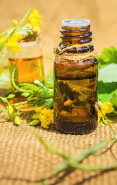 kırlangıçotu küçük bir kavanoza ayıklayın. Seçici odak.