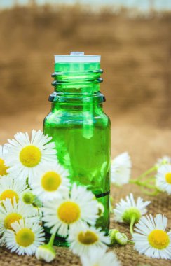  küçük bir kavanoza papatya özü. Seçici odak. 