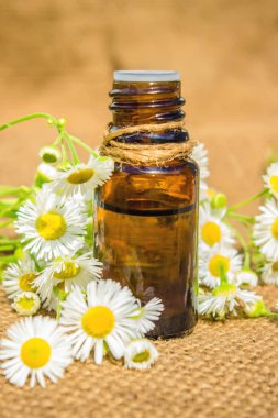  küçük bir kavanoza papatya özü. Seçici odak. 