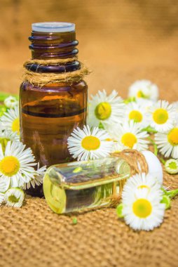  küçük bir kavanoza papatya özü. Seçici odak. 