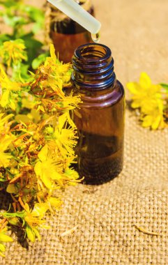 St John's wort küçük bir kavanoza ayıklayın. Seçici odak. 