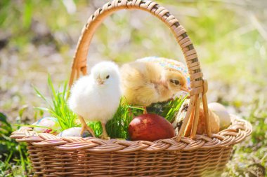 Paskalya. Sepet içinde Paskalya süsleri. Bahar. Seçici odak. 