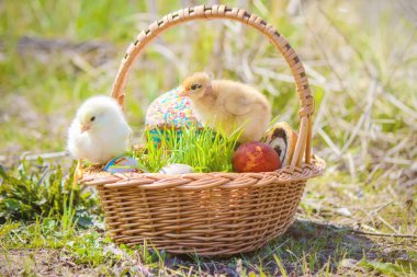 Paskalya. Sepet içinde Paskalya süsleri. Bahar. Seçici odak. 