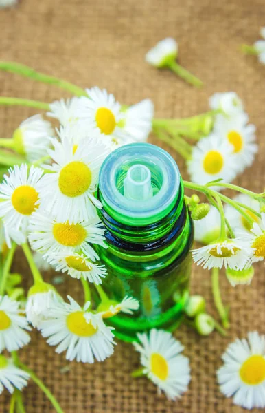 Kamillenextrakt in einem kleinen Glas. Selektiver Fokus. — Stockfoto