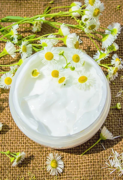 Chamomile extract in a small jar. Selective focus. — Stock Photo, Image